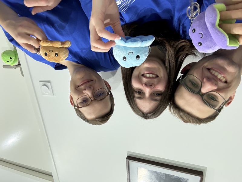 Picture of team devUGRs